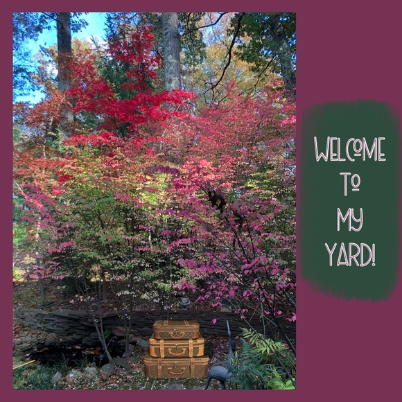 Meet your Posher, Michelle - Picture 9 of 9